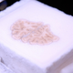 Illustration for article titled This famous brain was cut into 2,400 slices and uploaded to the cloud